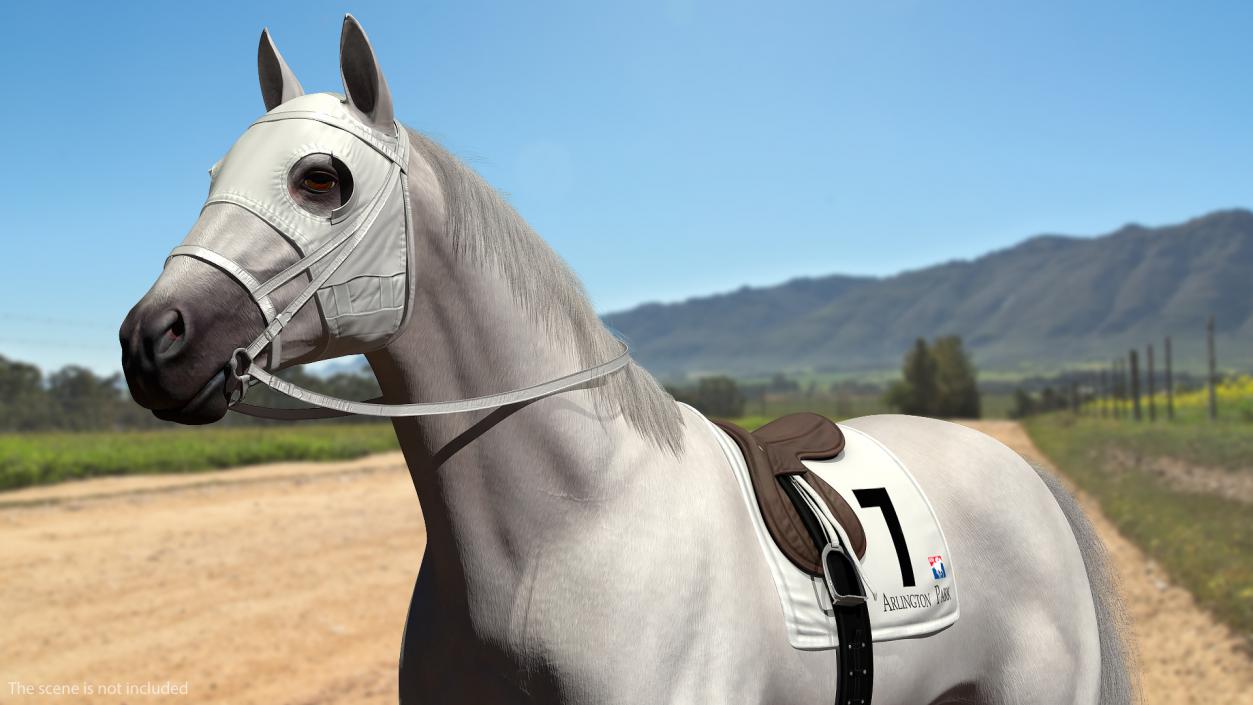 Racehorse White Fur 3D model