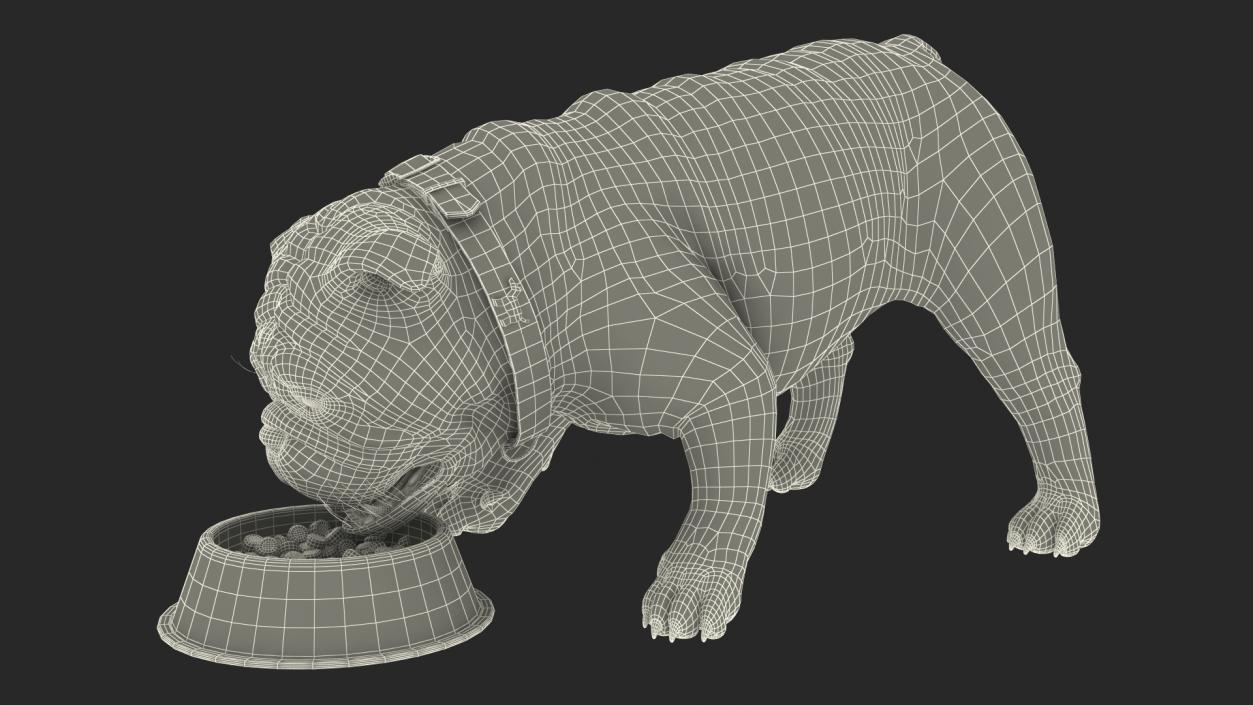 3D Bulldog Eats Out of the Bowl model