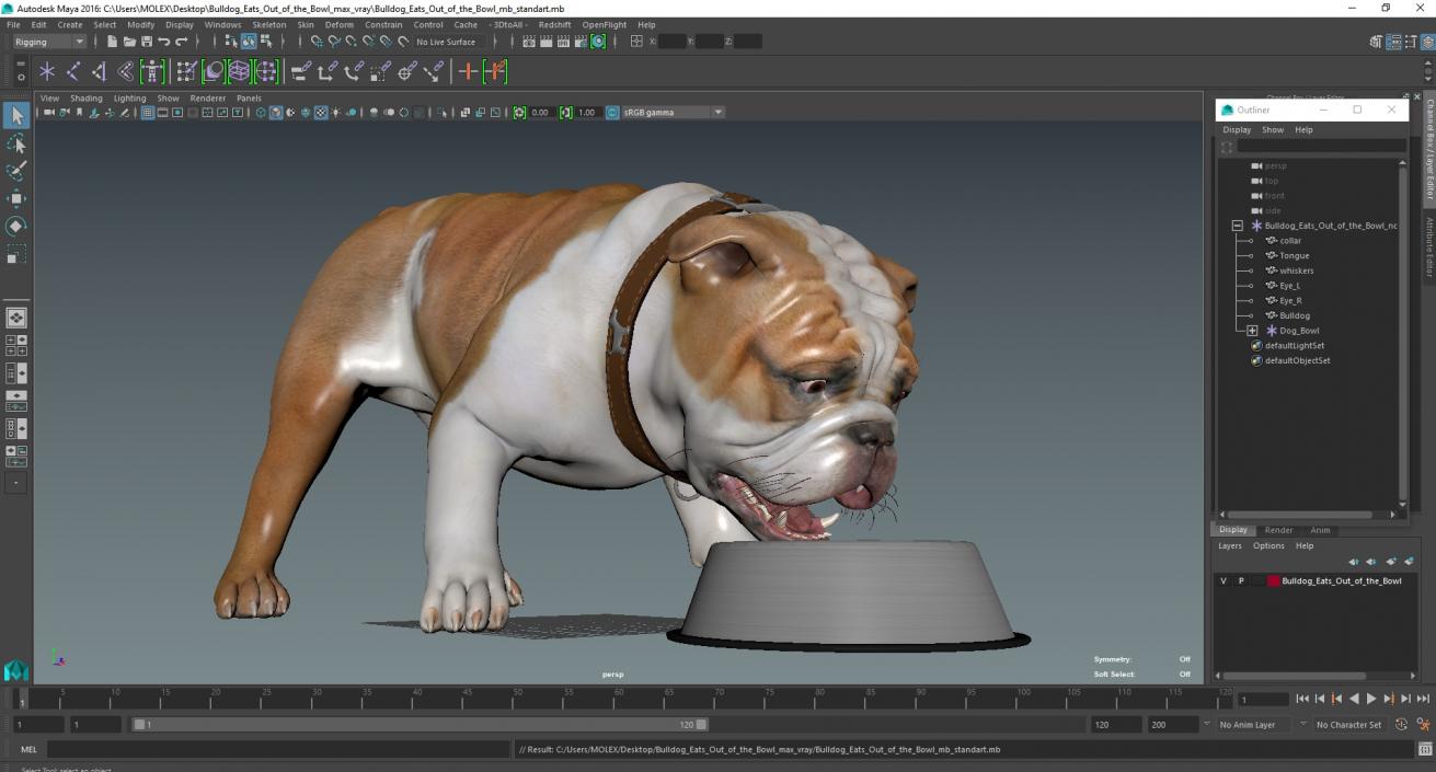 3D Bulldog Eats Out of the Bowl model