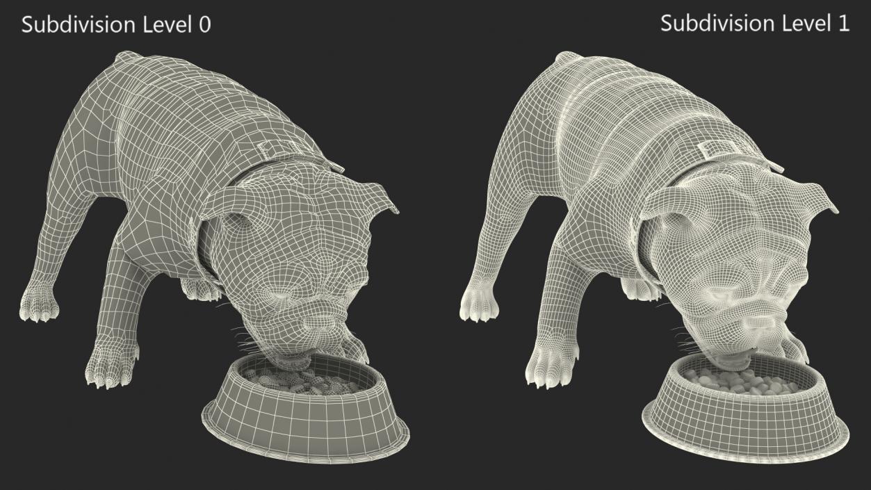 3D Bulldog Eats Out of the Bowl model