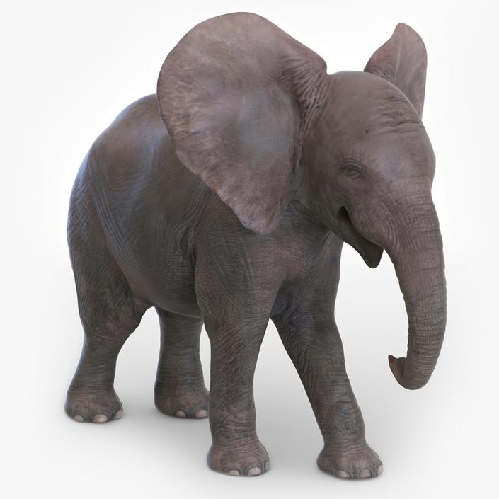 Baby Elephant Rigged 2 3D