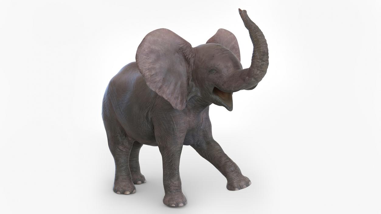 Baby Elephant Rigged 2 3D