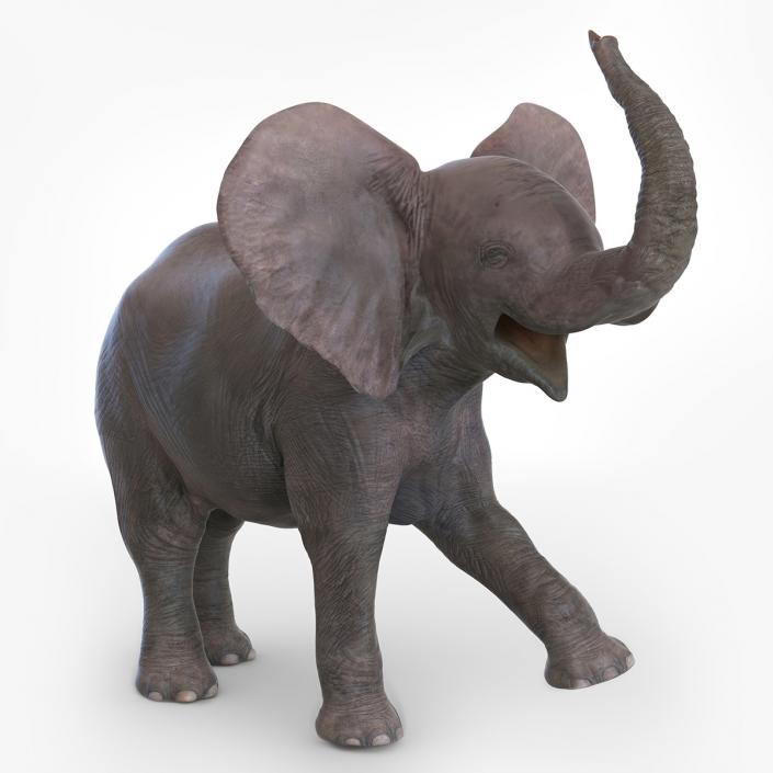 Baby Elephant Rigged 2 3D