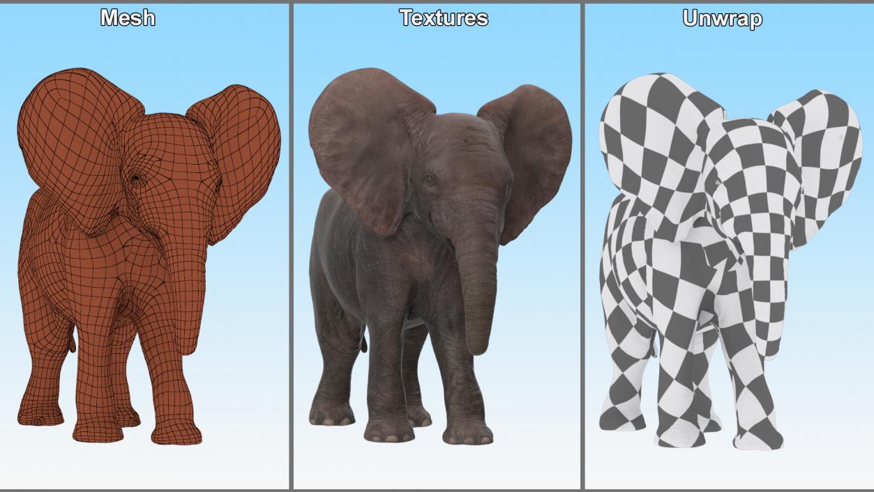 Baby Elephant Rigged 2 3D