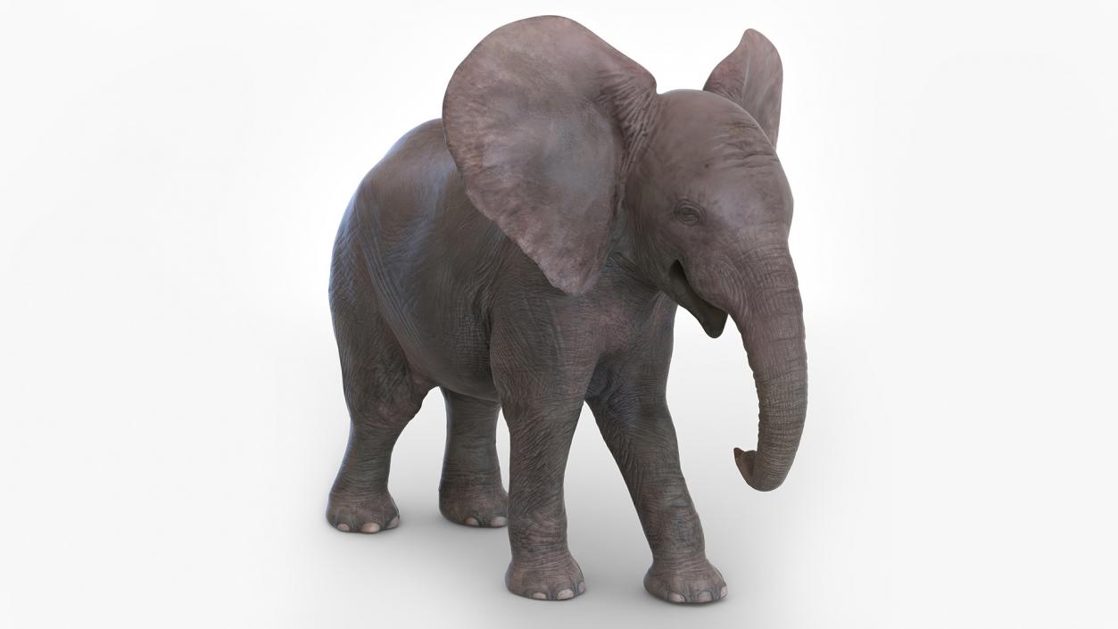 Baby Elephant Rigged 2 3D