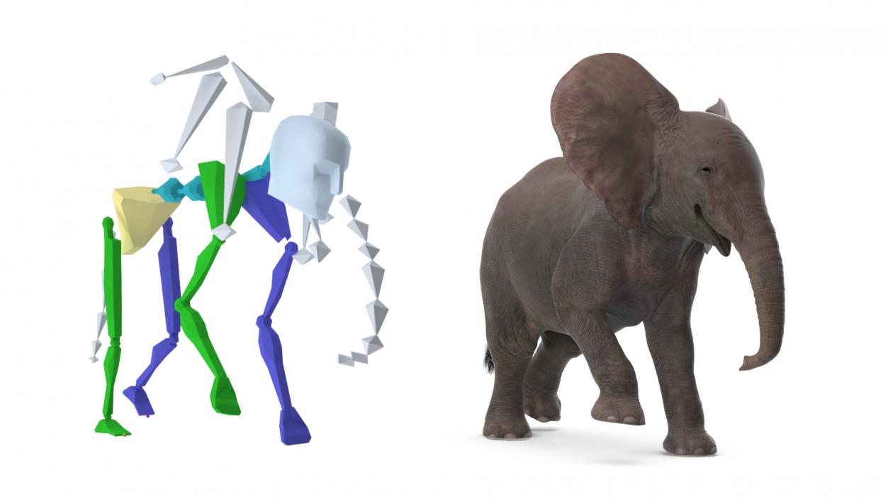 Baby Elephant Rigged 2 3D