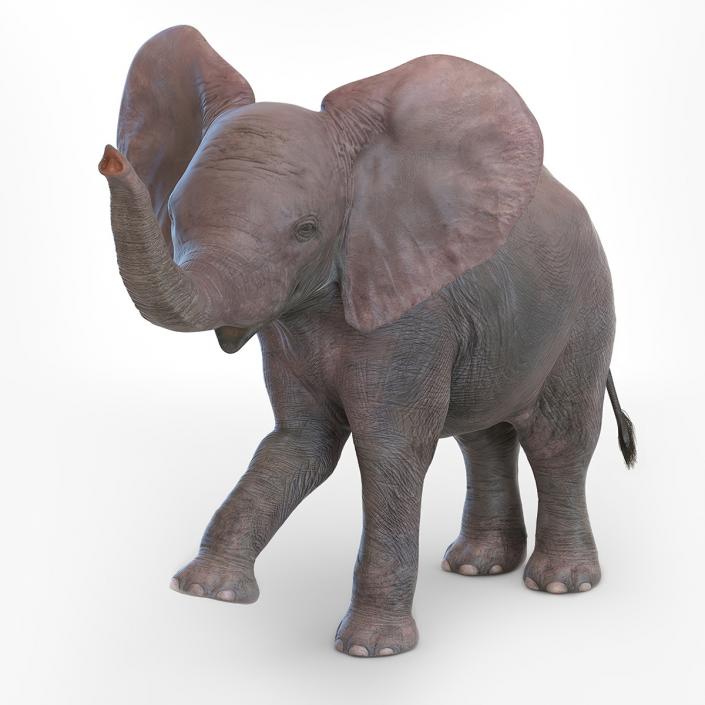 Baby Elephant Rigged 2 3D