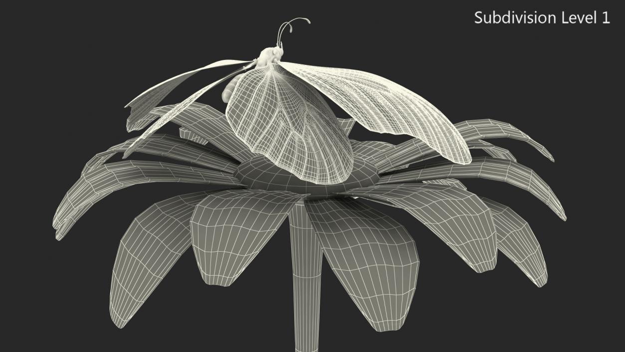 Animated Monarch Butterfly Sits on Swinging Flower Rigged 3D