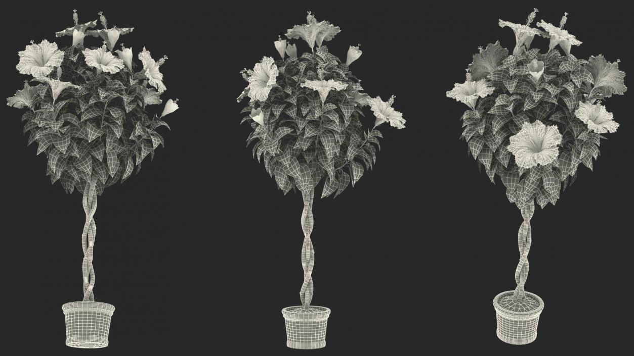 Flower Pots Collection 7 3D model