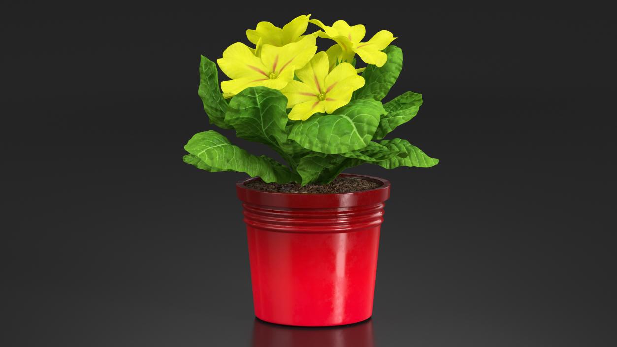 Flower Pots Collection 7 3D model