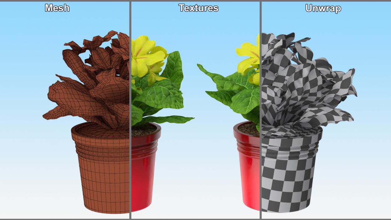 Flower Pots Collection 7 3D model