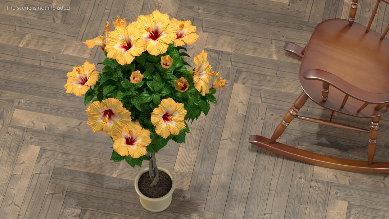 Flower Pots Collection 7 3D model