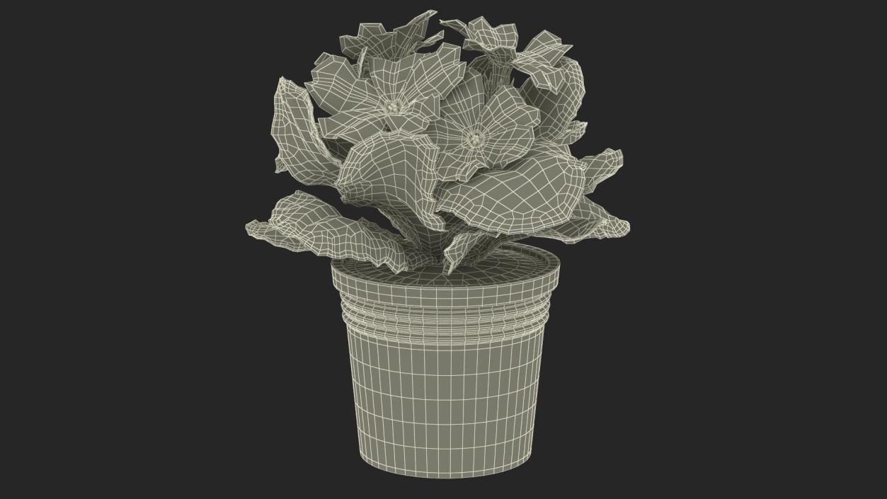 Flower Pots Collection 7 3D model