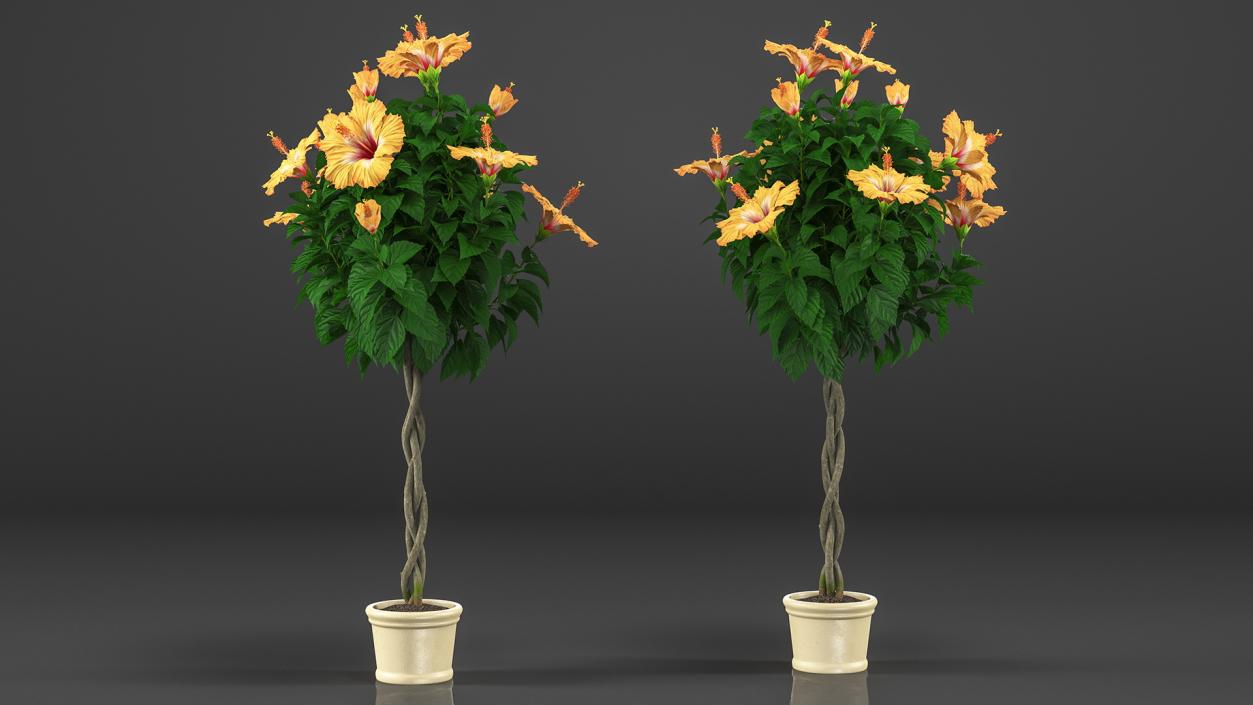 Flower Pots Collection 7 3D model