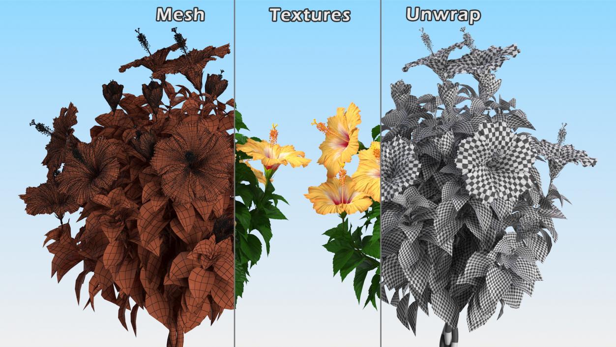 Flower Pots Collection 7 3D model