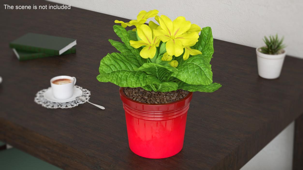 Flower Pots Collection 7 3D model