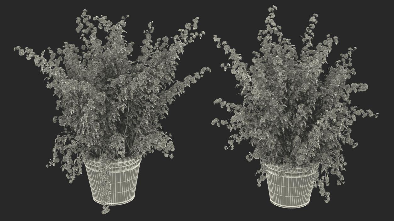 Flower Pots Collection 7 3D model