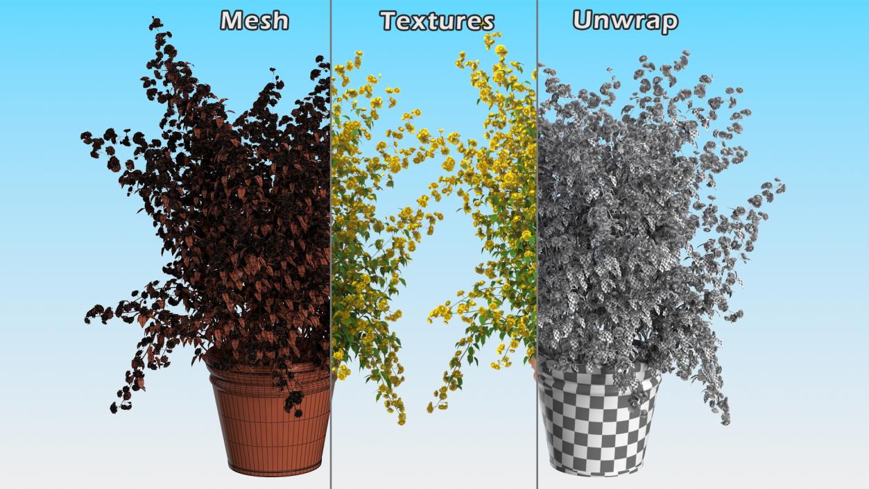 Flower Pots Collection 7 3D model