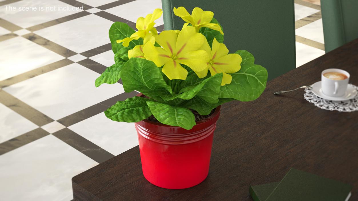 Flower Pots Collection 7 3D model