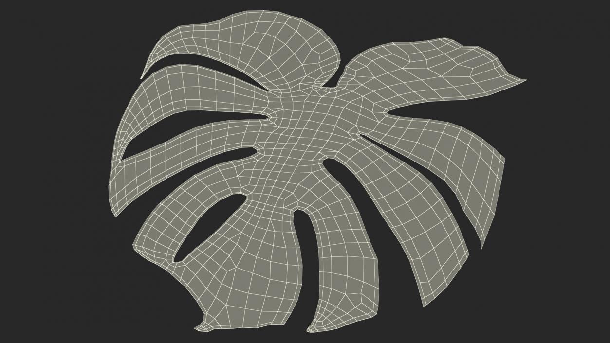 Leaves Collection 9 3D model