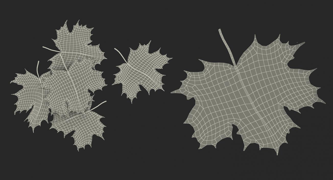 Leaves Collection 9 3D model