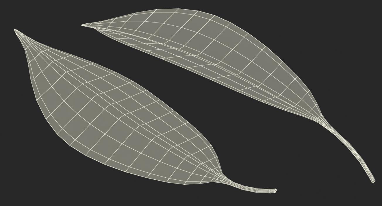 Leaves Collection 9 3D model