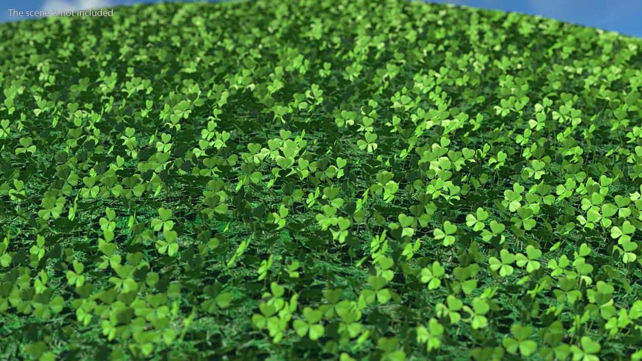 Leaves Collection 9 3D model