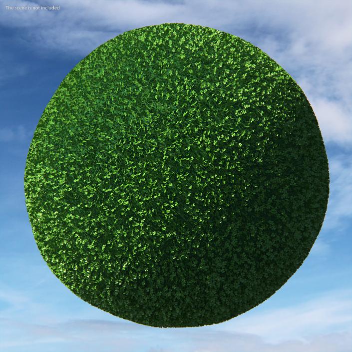 Leaves Collection 9 3D model