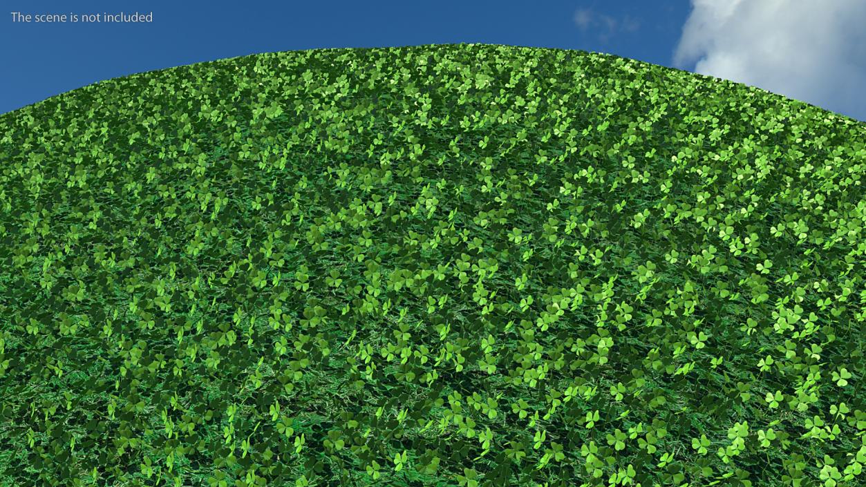 Leaves Collection 9 3D model