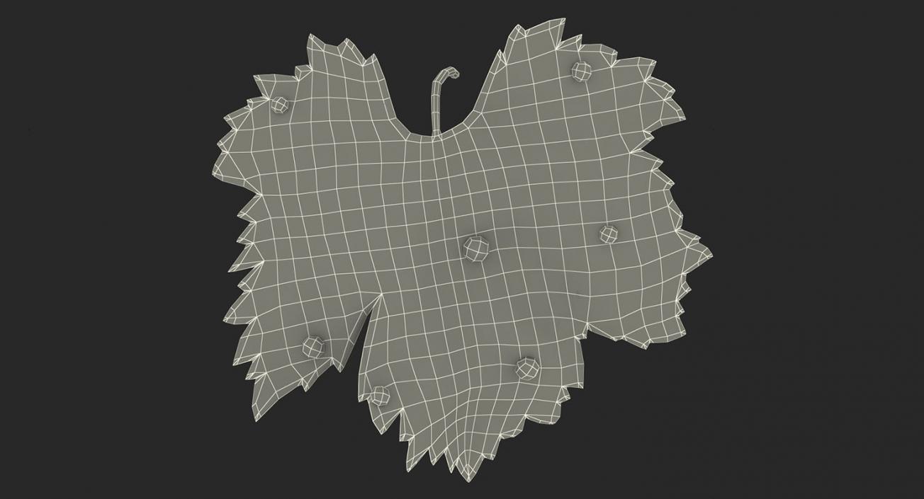 Leaves Collection 9 3D model