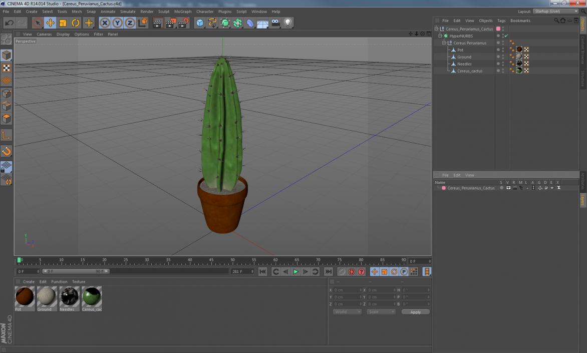 Cereus Peruvianus Cactus 3D model