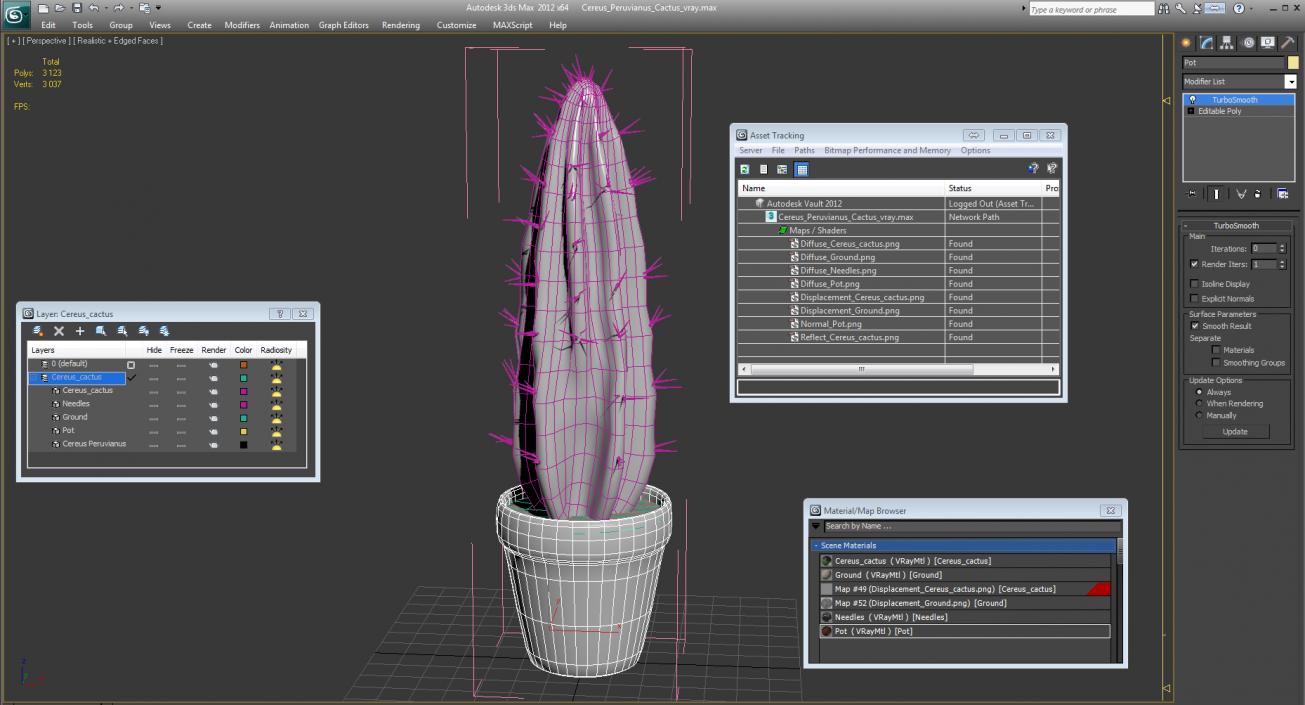 Cereus Peruvianus Cactus 3D model