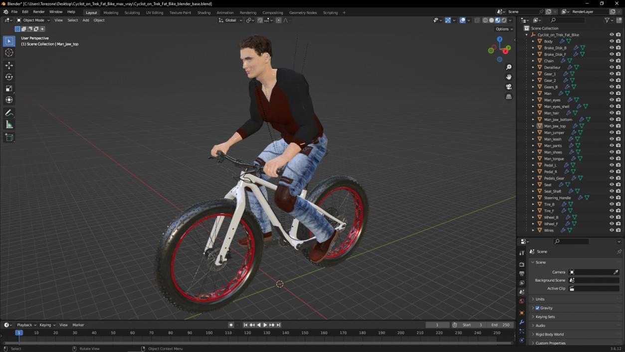 Cyclist on Trek Fat Bike 3D model