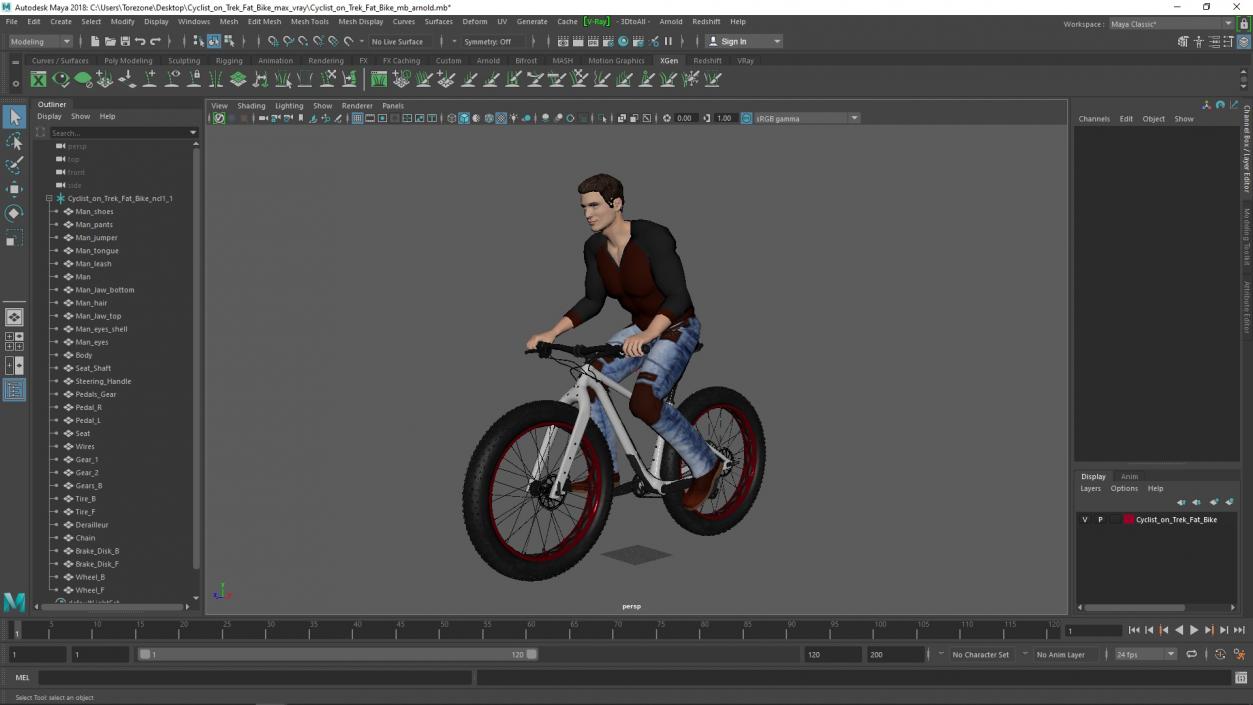 Cyclist on Trek Fat Bike 3D model