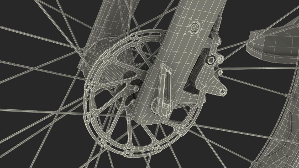 Cyclist on Trek Fat Bike 3D model