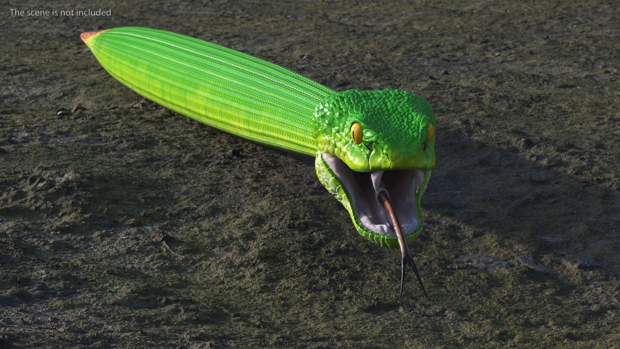 3D model Viper Green Trimeresurus Rigged for Maya