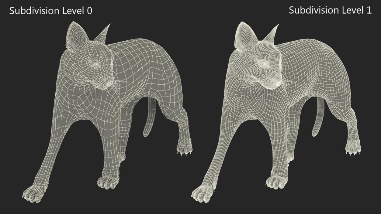 3D Caracal Cat Walking Pose Fur model