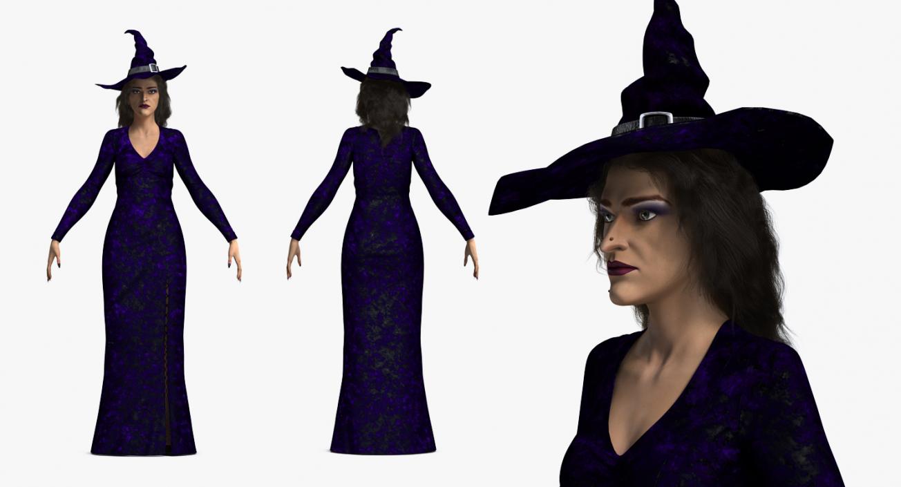 Witch Woman and Broom Collection 3D