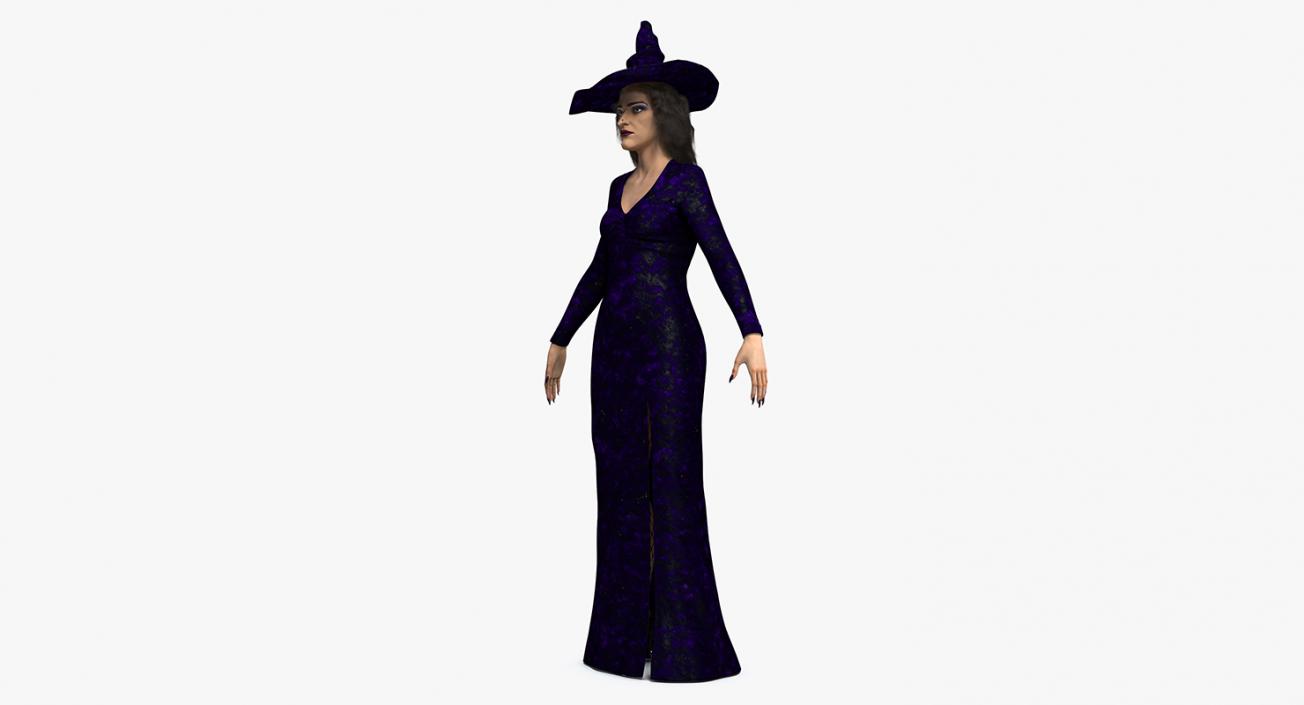 Witch Woman and Broom Collection 3D