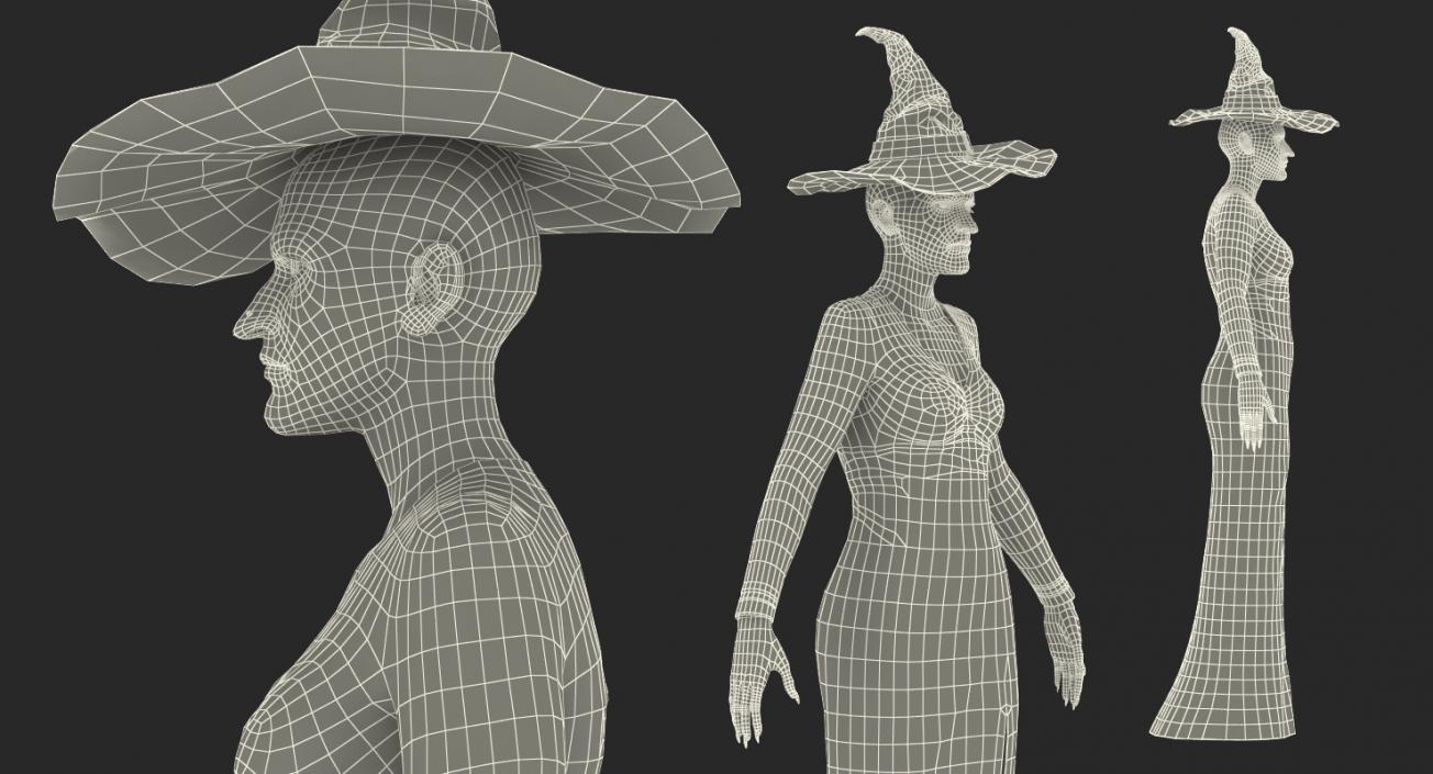 Witch Woman and Broom Collection 3D