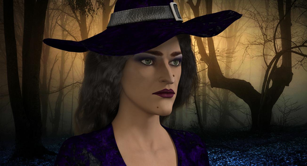 Witch Woman and Broom Collection 3D