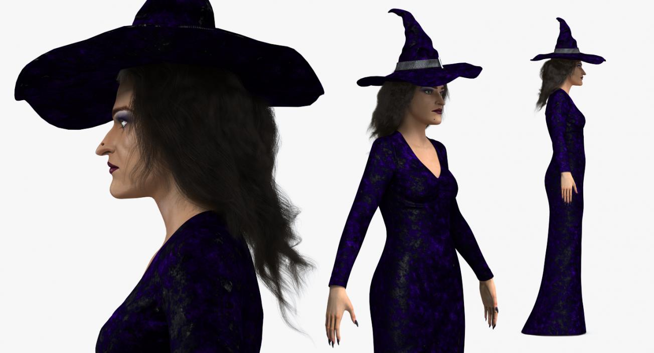 Witch Woman and Broom Collection 3D