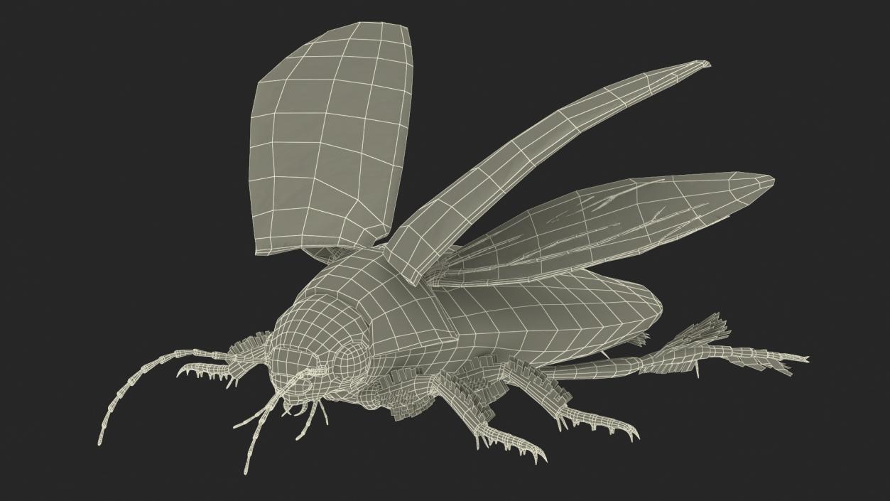 3D Insect Water Beetle Beige Rigged for Maya