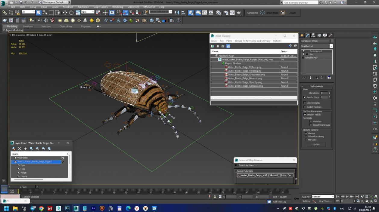 3D Insect Water Beetle Beige Rigged for Maya