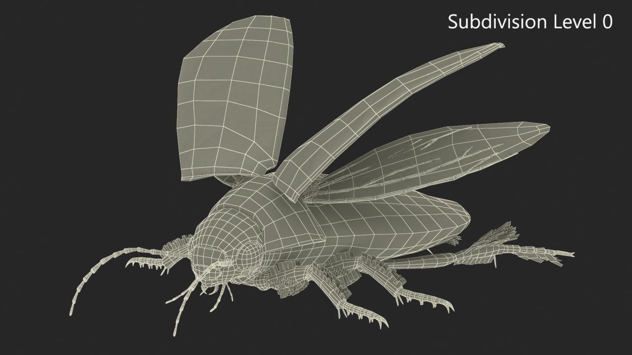 3D Insect Water Beetle Beige Rigged for Maya