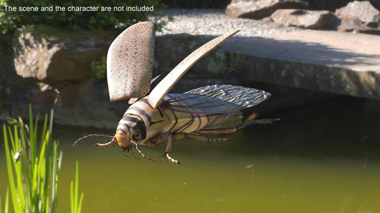 3D Insect Water Beetle Beige Rigged for Maya