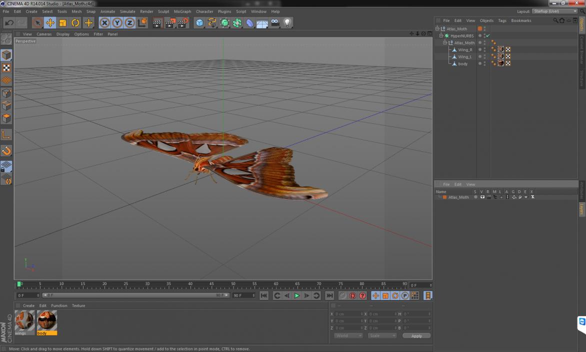 3D model Atlas Moth