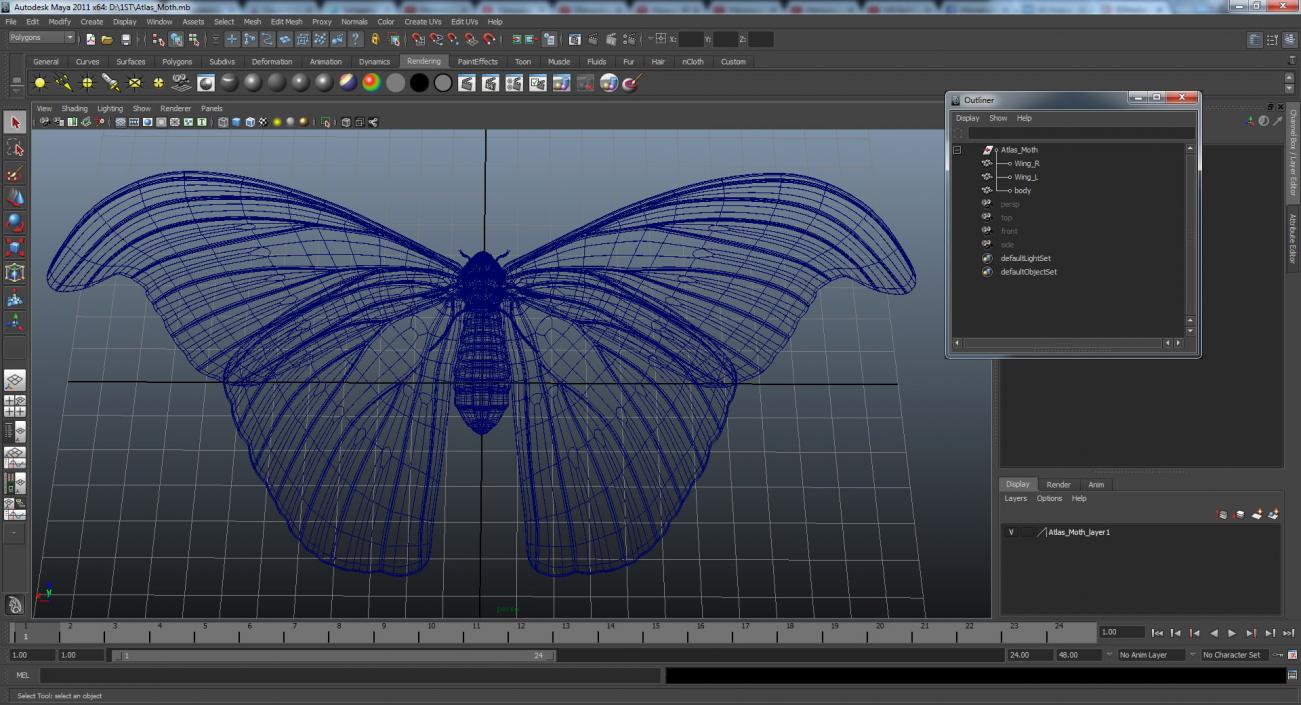 3D model Atlas Moth