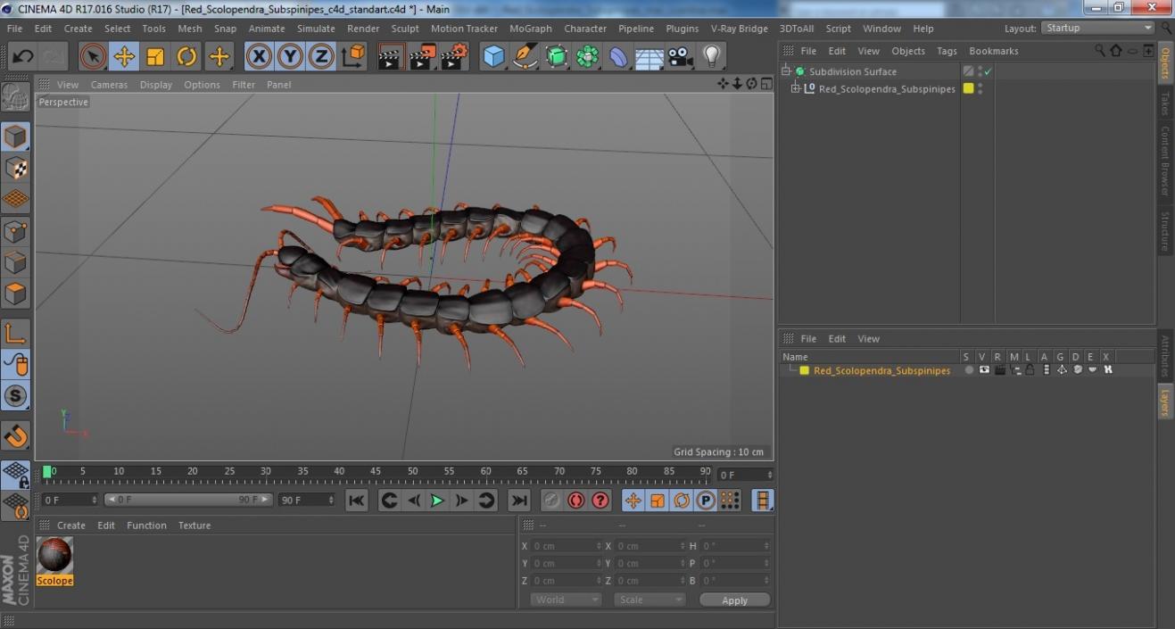 Red Scolopendra Subspinipes 3D