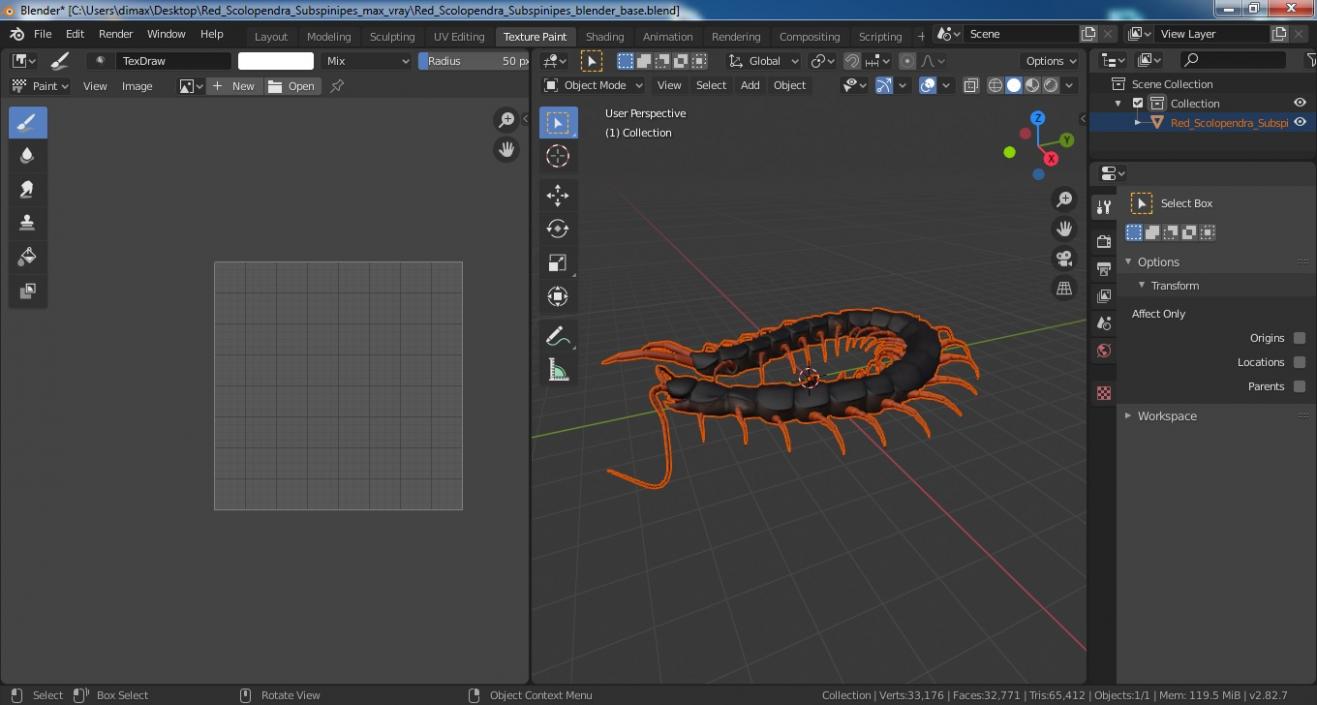 Red Scolopendra Subspinipes 3D